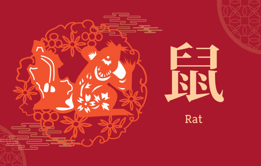 Investing in the Year of the Rat