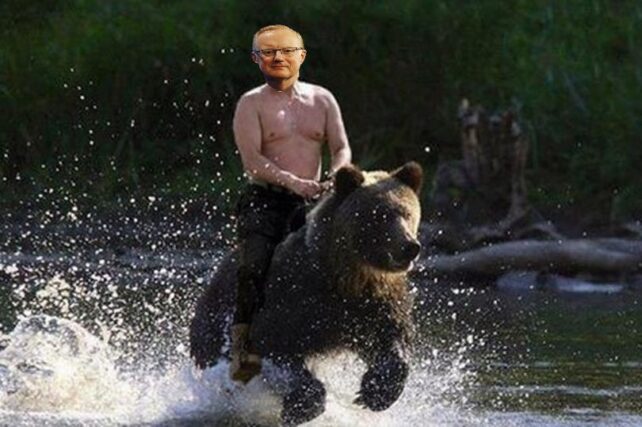 The November Property Bear massacre