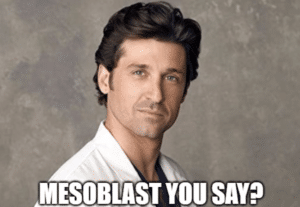Mesoblast