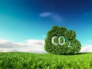carbon neutral investing