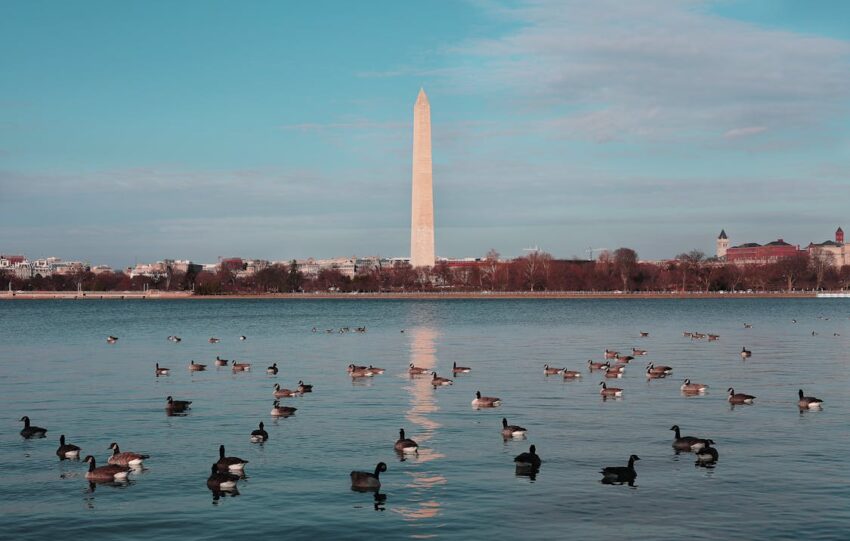 investors fear a US recession