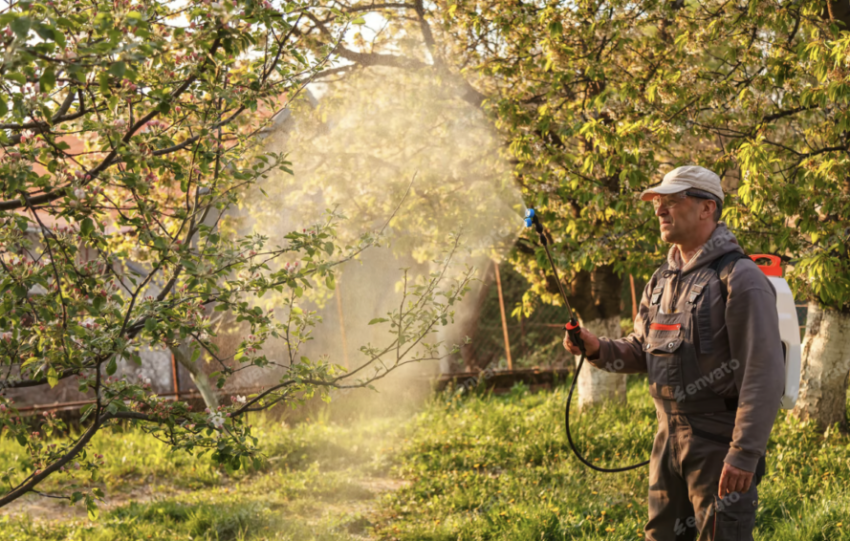 Bio Gene Technology ASX:BTG)