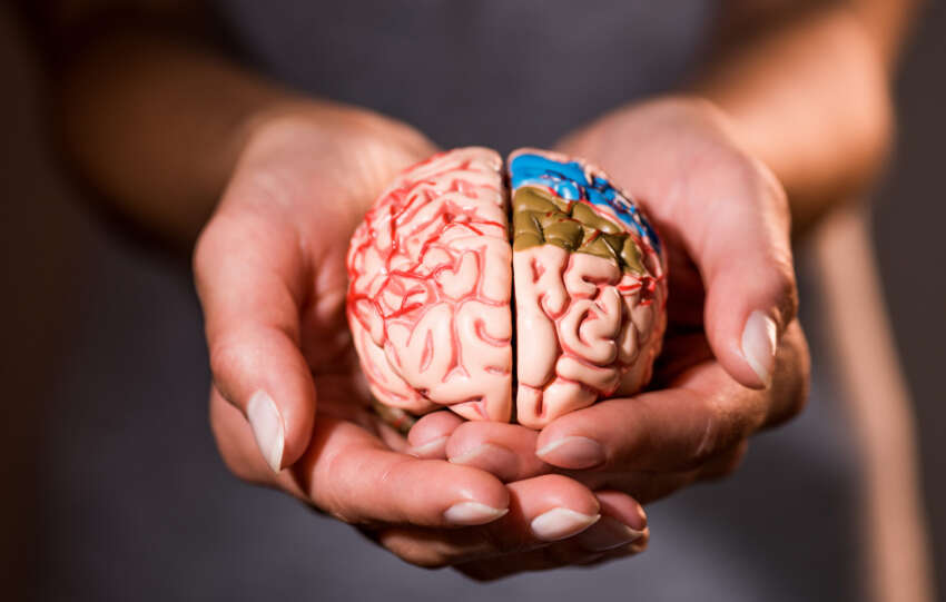 Neuren Pharmaceuticals