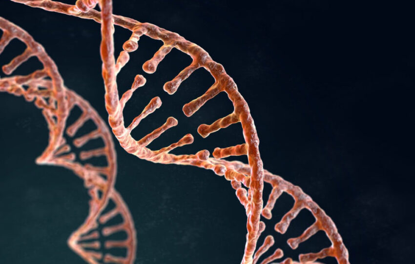 Pitt Street Research Life Sciences Conference