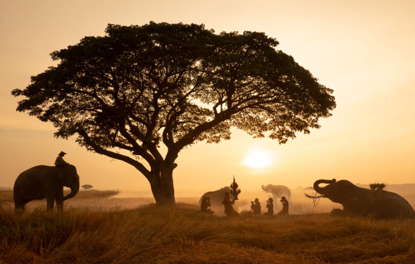 African mining countries