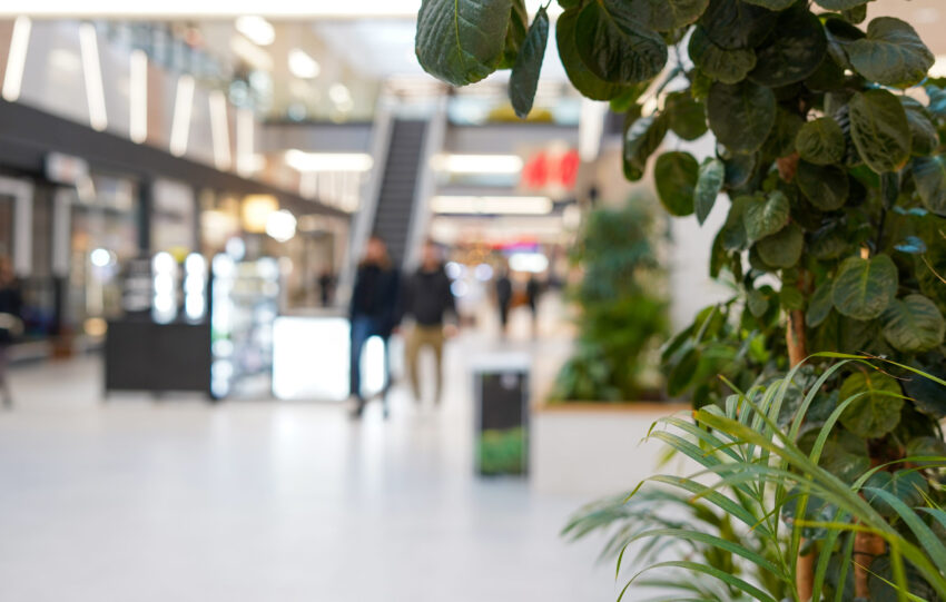 struggling ASX retail stocks