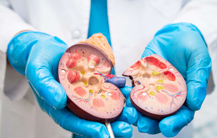 US licensing deal for DMX-200