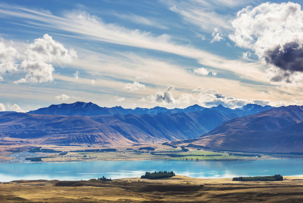reporting season in New Zealand