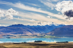 reporting season in New Zealand
