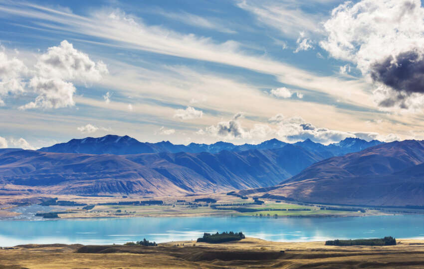 reporting season in New Zealand