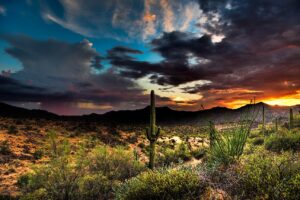 Arizona Lithium