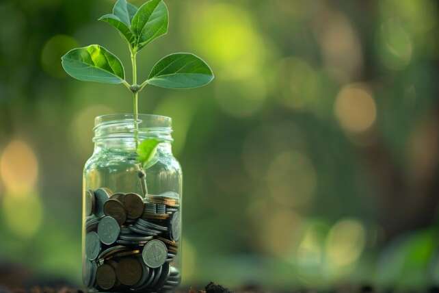 Stocks Start Turning a Profit