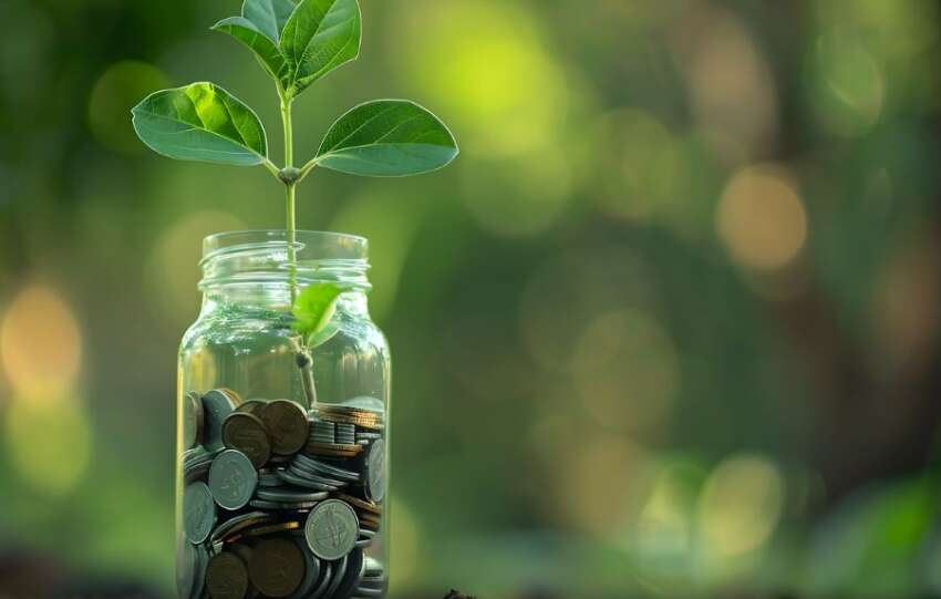 Stocks Start Turning a Profit