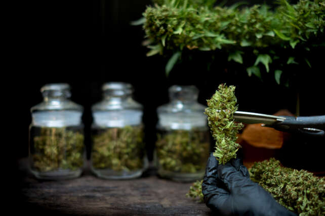 Argent BioPharma (ASX: AGT)