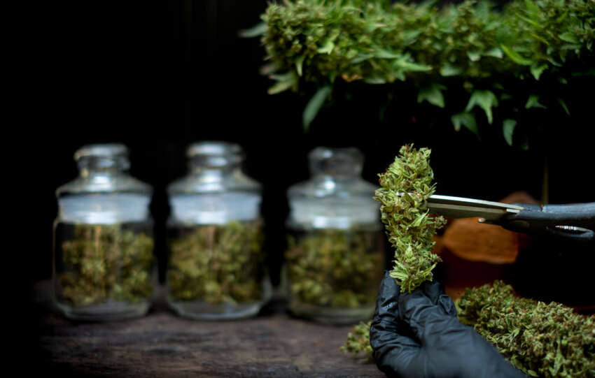 Argent BioPharma (ASX: AGT)