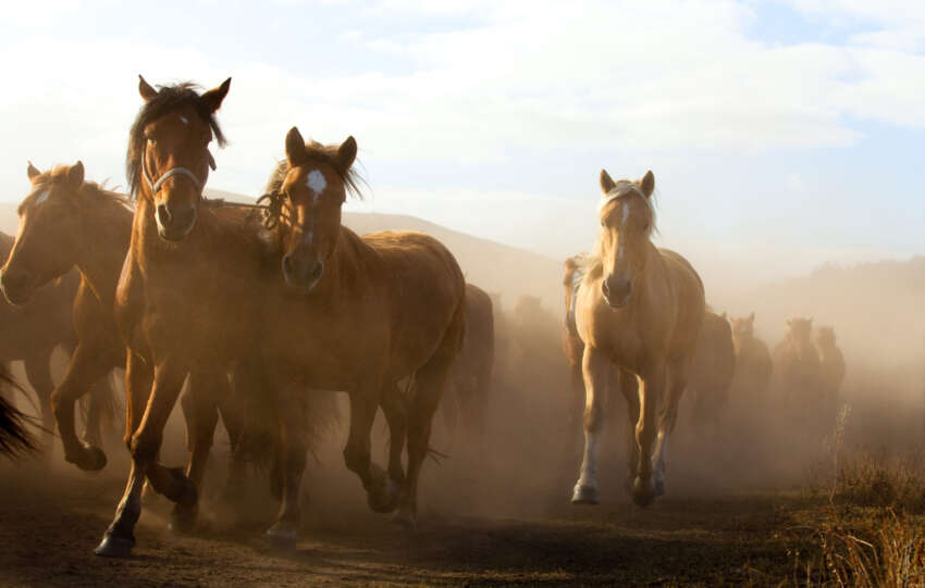 Imricor Medical Systems