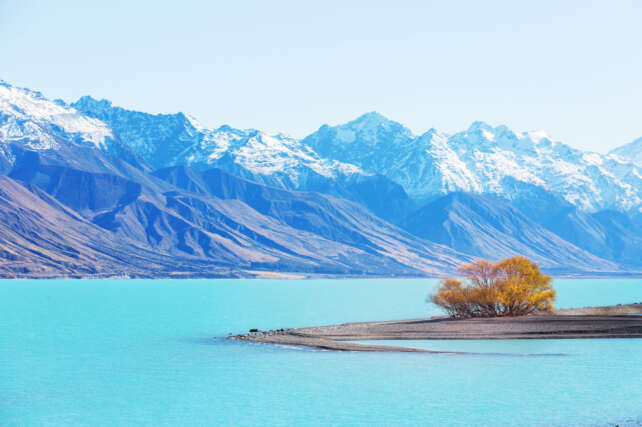 RBNZ is cutting rates again