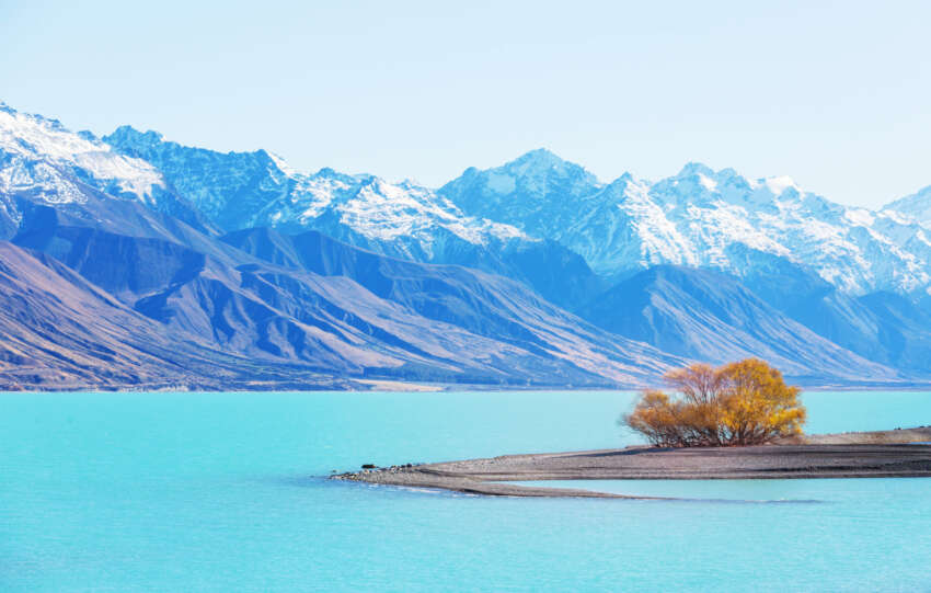 RBNZ is cutting rates again