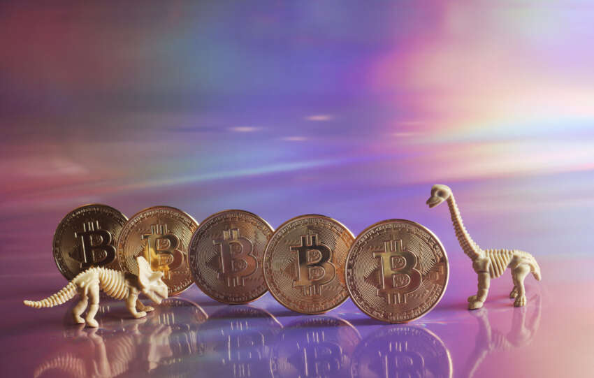 stocks with significant exposure to crypto