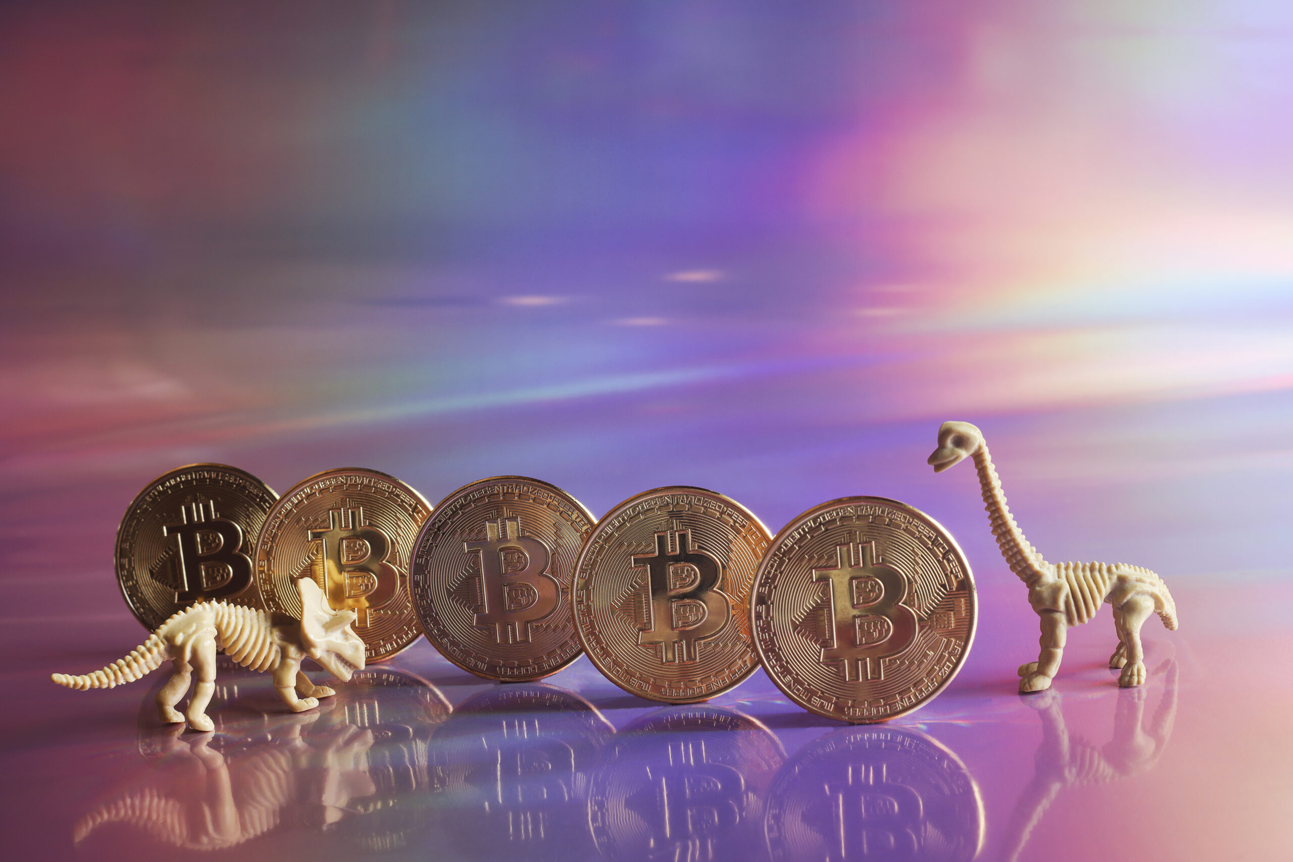 Here are 5 stocks with significant exposure to crypto! Are you better off  investing in them instead of trading currencies yourself?