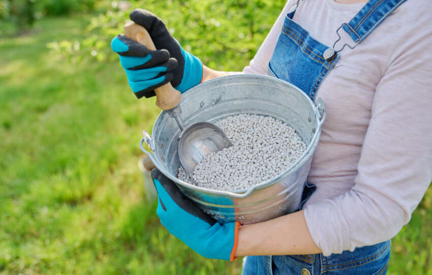 ASX Fertiliser Stock