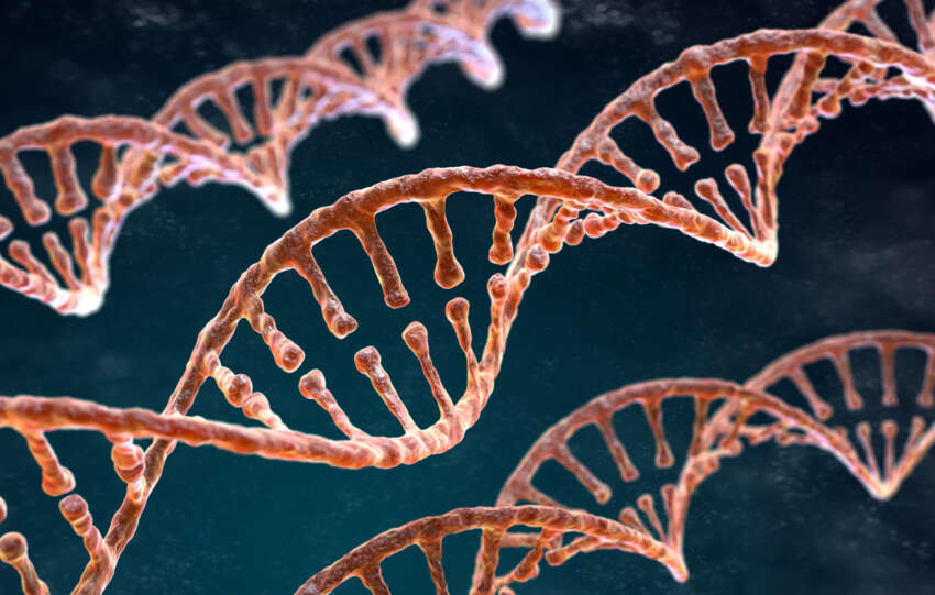 Telix Pharmaceuticals