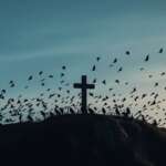 ASX Companies That Had Near-Death Experiences