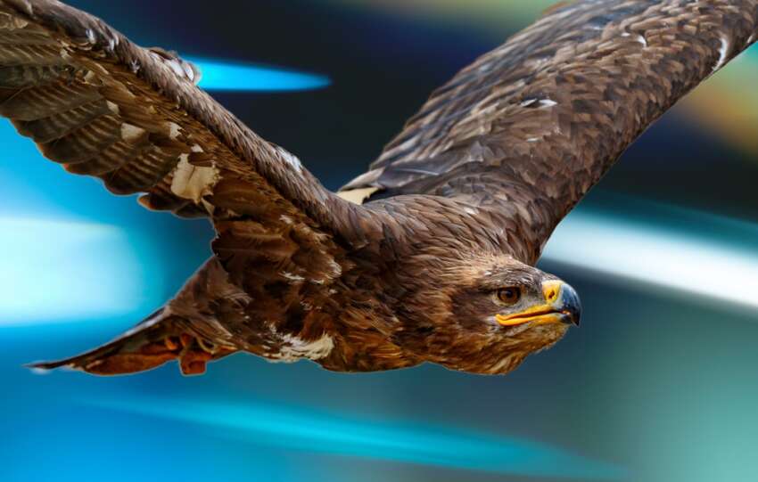 Hawk Resources