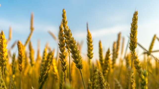 GrainCorp