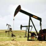 Bass Oil