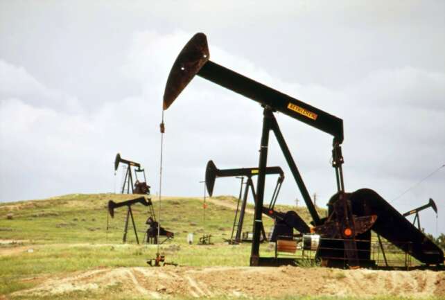 Bass Oil