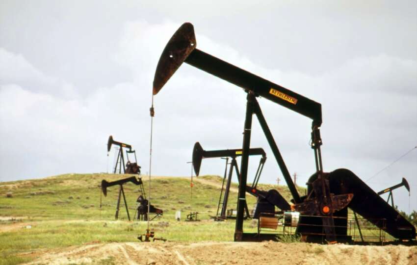 Bass Oil