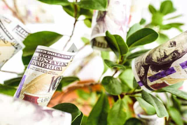 Cash Flow Statement