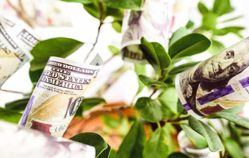 Cash Flow Statement