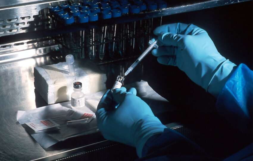 BCAL Diagnostics