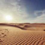 Dateline Resources
